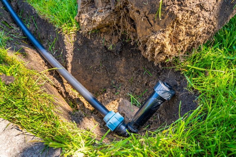 Lawn Erosion Repair