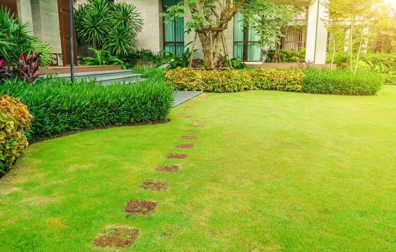 Lawn Landscaping