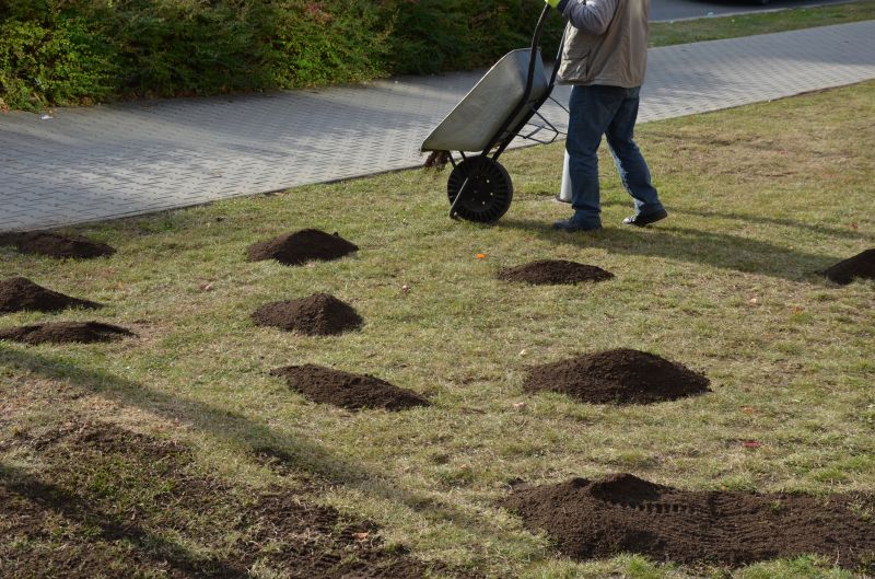 Lawn Repair Service