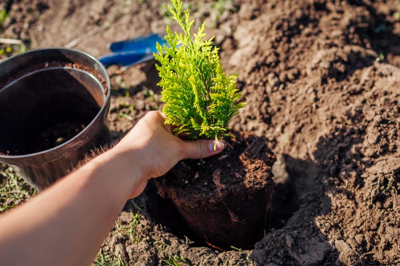 Planting Service