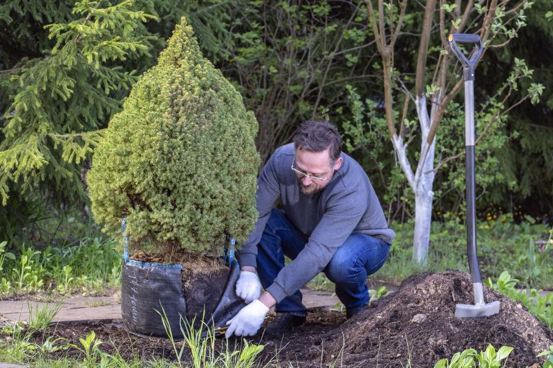 Shrub Installation