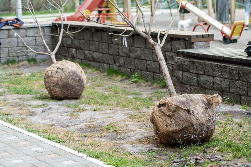 Tree Curbing Installation
