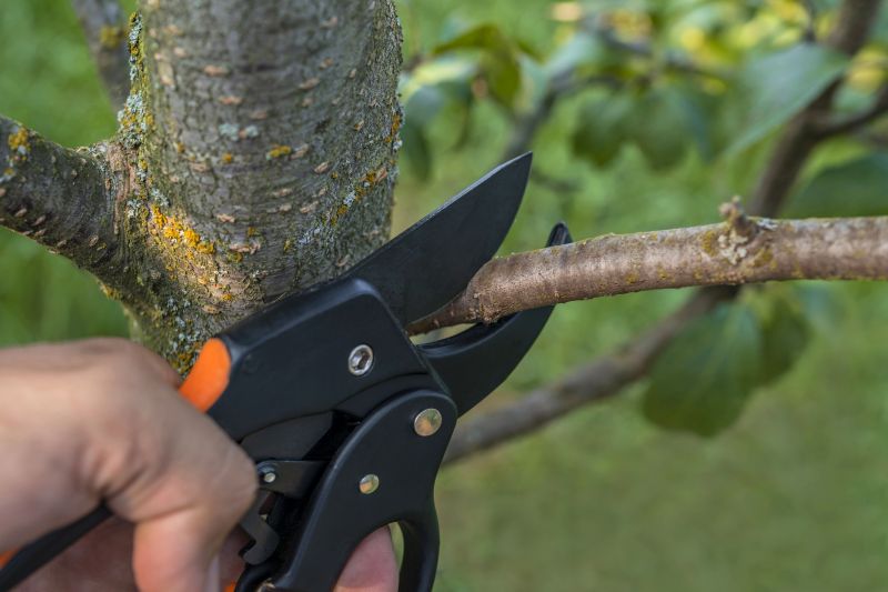 Tree Curbing Installation